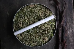 Efectele de reacție condiment fumat la otravă