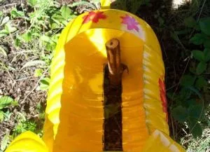 Purceii din sticle de plastic