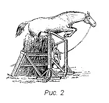 depășirea obstacolelor