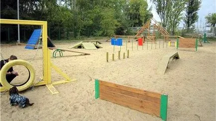 Reguli de mers pe jos echipa de câine, atâta timp cât timpul, locul (echipa) Reguli de mers pe jos echipa de câine, atâta timp cât timp, locul