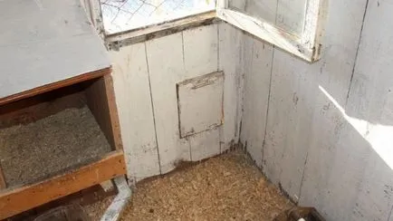 amenajarea corespunzătoare a coop de pui în propriile mâini, clipuri video și fotografii