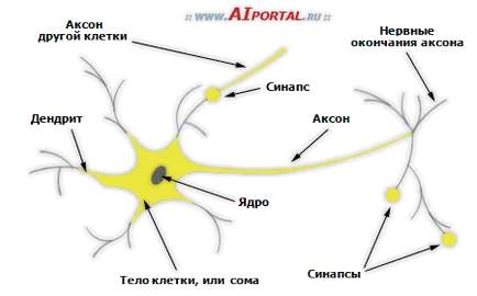 Fundaluri de inteligență artificială