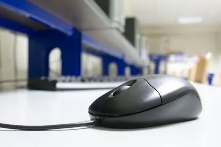 Prin instalarea corectă a software-ului