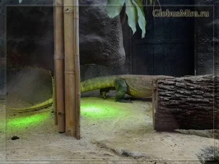 traseu Praga Zoo și orele de funcționare