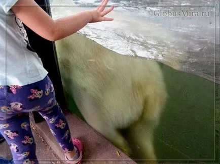traseu Praga Zoo și orele de funcționare