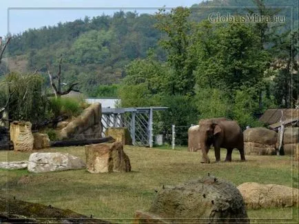 traseu Praga Zoo și orele de funcționare