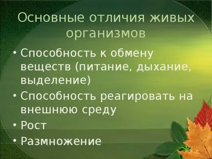 Prezentarea lecției în jurul lumii pe această temă - corpul uman (prezentări de școală elementară a prezentat lumii o lecție pe tema & quot ;. Corpul uman și ceea ce respirăm & quot;) Prezentarea lecției în jurul lumii pe această temă - corpul uman
