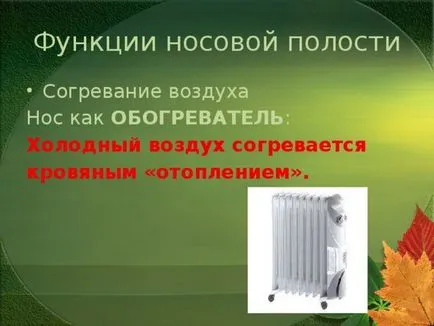 Prezentarea lecției în jurul lumii pe această temă - corpul uman (nazale Funcții cavitate) Prezentarea lecției în jurul lumii pe această temă - corpul uman