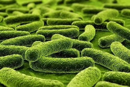 Cauzele tuberculozei, eu sunt sănătos (apariție) Cauzele tuberculozei, eu sunt sănătos