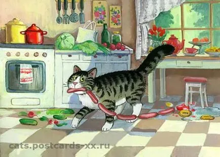 Funny cats