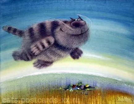 Funny cats