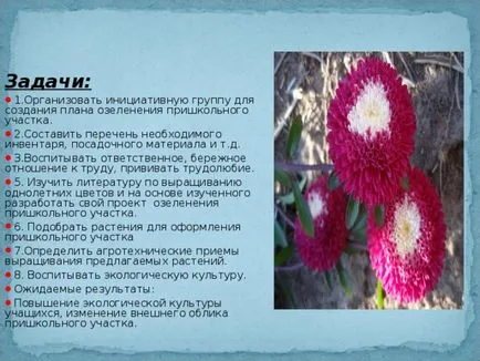 amenajare proiect site-ul școlar - Biologie, prezentari (grădinărit) amenajare proiect site-ul școlar - Biologie, prezentari