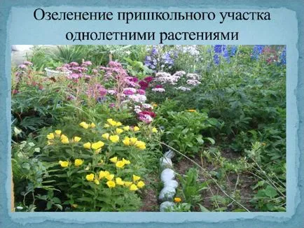 școală de amenajare a teritoriului proiect site-ul - Biologie, prezentari (prezentare biologie pe proiect de grădinărit site-ul școlar) amenajare proiect site-ul școlar - Biologie, prezentari