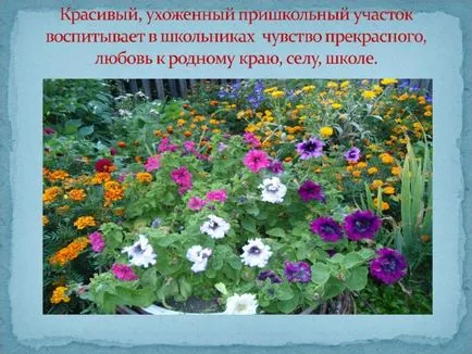amenajare proiect site-ul școlar - Biologie, prezentari (grădinărit) amenajare proiect site-ul școlar - Biologie, prezentari