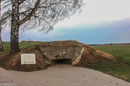 excursie de auto la Borodino