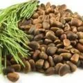 cultivare industrială de alune în casă ca o tehnologie de afaceri, răsaduri, randamentul culturilor (la domiciliu) cultivare industrial de alune în casă ca o tehnologie de afaceri, răsaduri, randamentul culturilor