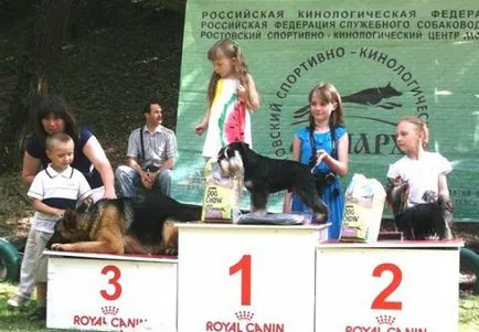 Funcția cale de tratare a articolului succes