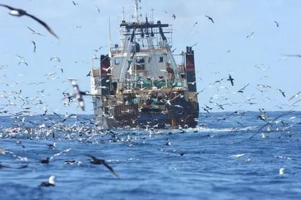 Munca pe mare la bordul navelor de pescuit modul de a deveni un marinar, ocuparea forței de muncă, condițiile de muncă