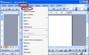 Secțiunea în cuvântul, Word 2003, Word 2007, Word 2010