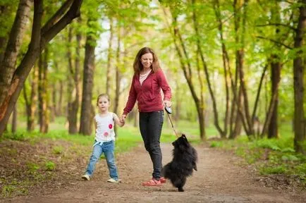 Copilul este frică de câini și pisici - ce să facă, cum să ajute la depășirea frica, psihologi sfaturi