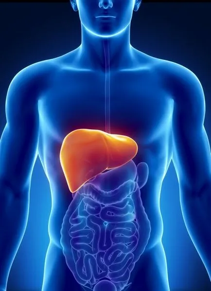 hepatită reactivă