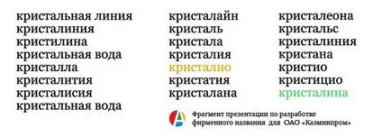 Agentie de publicitate „cuvânt nou“