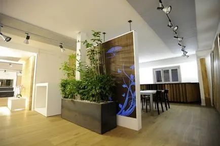 Reparații în practică 5 noi materiale decorative