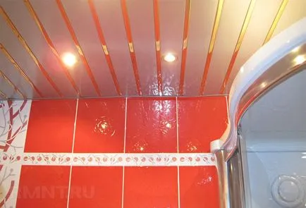 Cremalieră și pinion tavan în baie cu mâinile lor (bare de plafon) Cremalieră și pinion tavan în baie cu mâinile lor