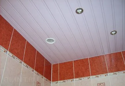 Cremalieră și pinion tavan în baie cu mâinile lor (construcții) Cremalieră și pinion tavan în baie cu mâinile lor