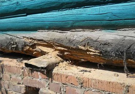 Reparatii de case din lemn înlocuite cu rândurile inferioare (înlocuind partea de jos a jurnalului) Reparatii de case din lemn înlocuite bordurile inferioare