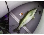 Pescuitul în suburbii, descrieri și hărți ale corpurilor de apă, rapoarte de pescari și pescari de pescuit forum pe moduri (hartă) Pescuitul în suburbii, descrieri și hărți ale corpurilor de apă, rapoarte de pescuit și un forum de pescuit cu privire la metodele de pescuit,