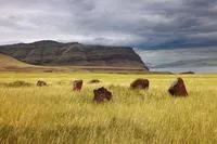 Republica Khakassia, România - vacanțe, excursii, comentarii, Khakassia atracții de ghidare (Khakassia) Republica Khakassia, Romania - Ghid sejururi, circuite, recenzii, atracții Khakassia