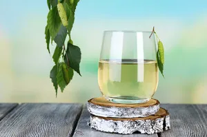 Retete sevă de mesteacăn, cu lămâie sau acid citric