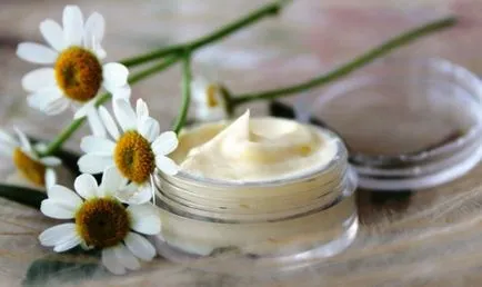 Rețetă crema pentru fata cu propriile sale mâini (cu fotografii)