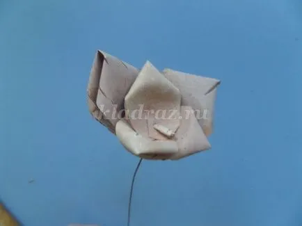 Rose din coajă de mesteacăn cu mâinile lor (foto-master) Rose din scoarță de mesteacăn cu mâinile lor