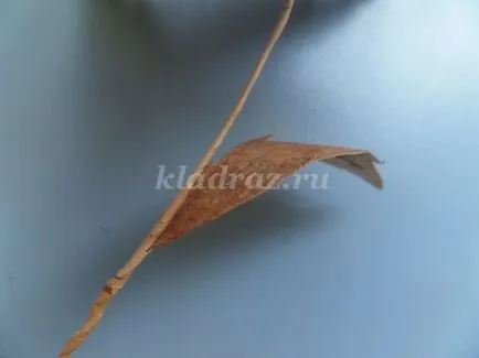 Rose din coajă de mesteacăn cu mâinile lor (pas cu pas) Rose din scoarță de mesteacăn cu mâinile lor