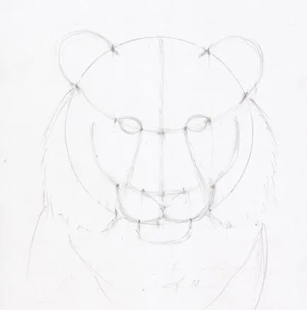 Desen etape bot creion de tigru (Tiger) Desena o fata creion etape de tigru