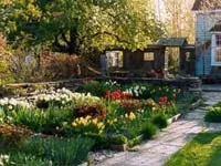 Garden Art, Garden Design, tehnologie și plante