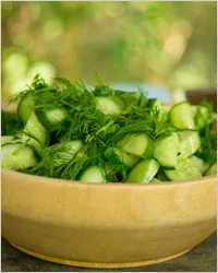 castravete proaspat - salata cu castraveti (castravete) castravete proaspat - salata cu castraveti