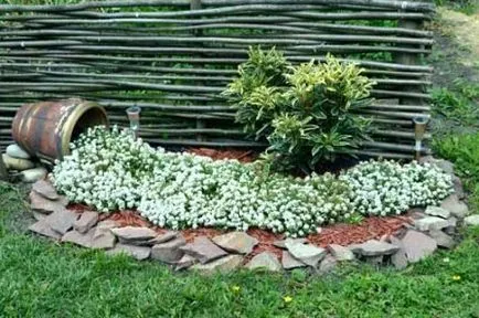 Grădină, gradina de legume, oferind toate cele mai vii și interesante cu propriile lor mâini