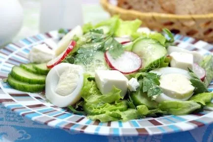 castravete proaspat - salata cu castraveti (muraturi) castravete proaspat - salata cu castraveti