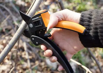 Unelte pentru grădină oferă produse de casă pentru grădină și grădină, fotografie și video