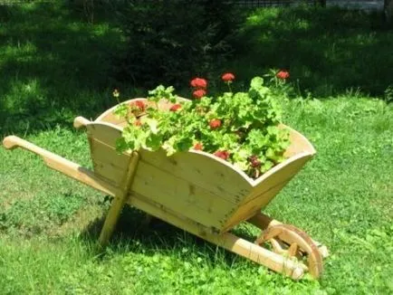 Grădină, gradina de legume, oferind toate cele mai vii și interesante cu propriile lor mâini