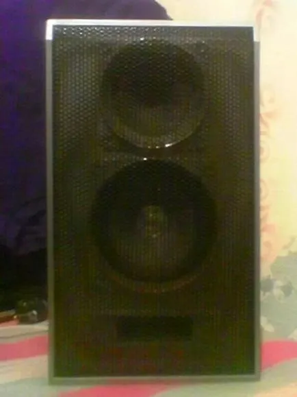 Subwoofer cu mâinile lor 1