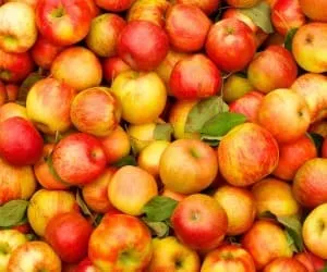 Produsele cele mai utile pentru lista produse alimentare de sănătate (de aprovizionare) Mâncarea cea mai utilă pentru lista de sănătate