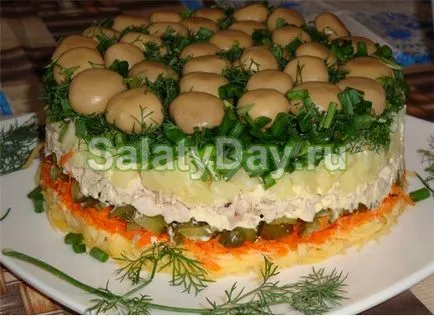 Salata de compensare - secretele unei rețete de gătit cu fotografii și video