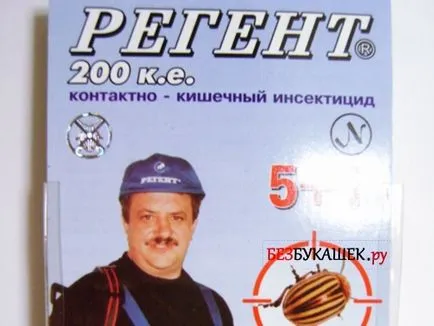 Cele mai eficiente metode de gândaci top 10 (locuri unde gândaci) Cele mai eficiente metode de top 10 gândaci