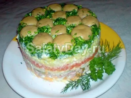 Salata de compensare - secretele unei rețete de gătit cu fotografii și video