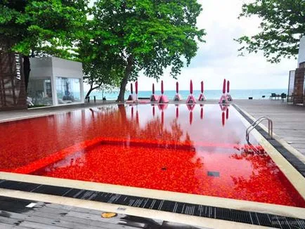 Cele mai frumoase piscine