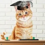 proprietarului, pisica pentru un top zece site-uri pentru cei care locuiesc cu pisici (animale de companie) pentru pisica site-uri de proprietar top zece pentru cei care locuiesc cu pisici